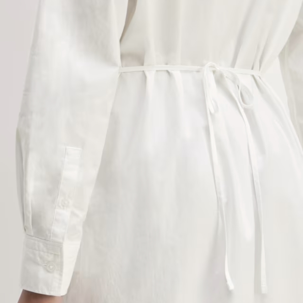 🆕EVERLANE The Supima® Cotton Midi Shirt Dress - Picture 9 of 12